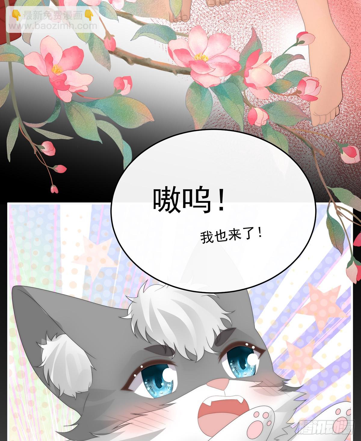 天喜红鸾 下（完结）(1/2)-第148话