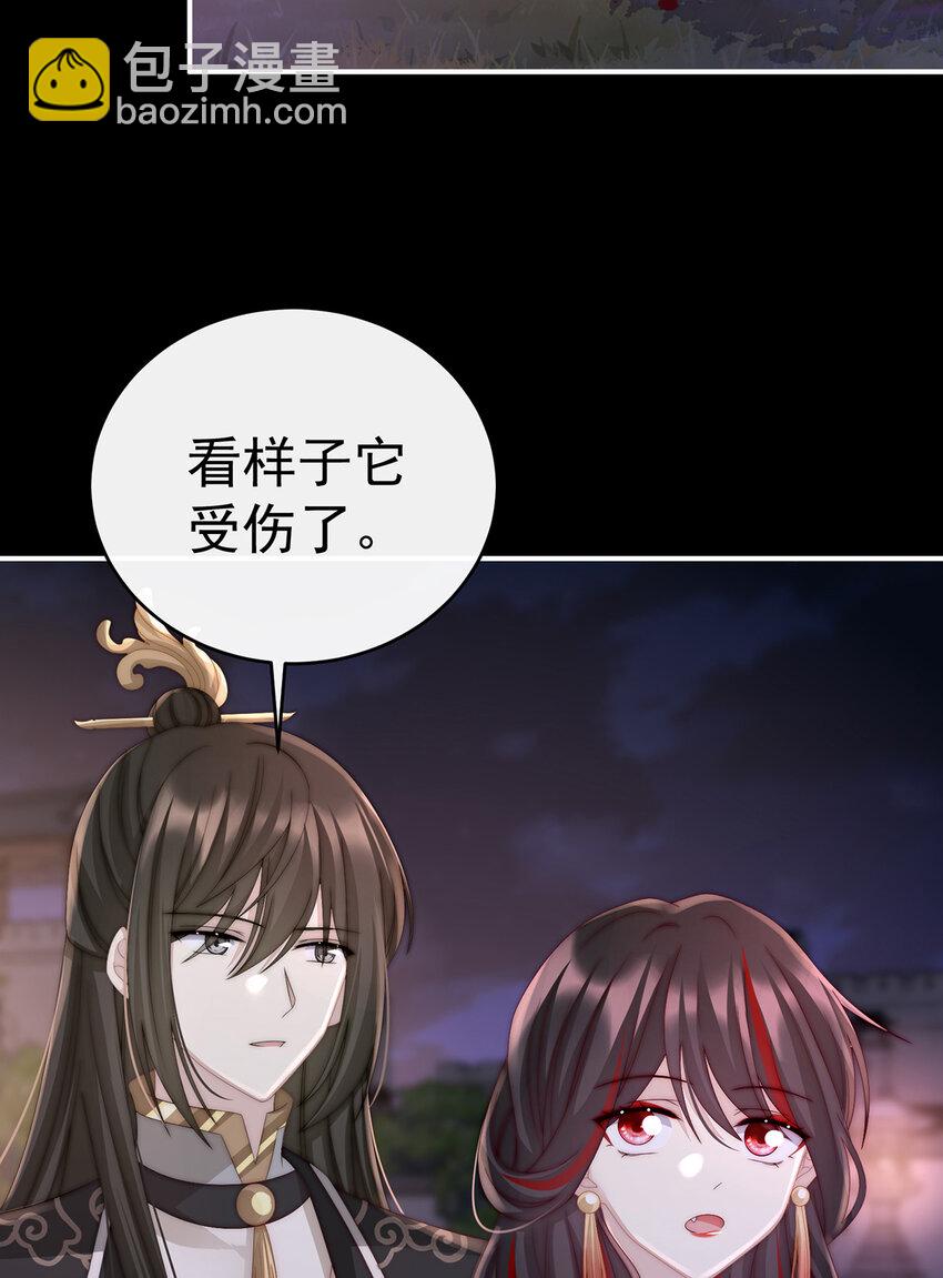 第19话 恶狼出没，小心！(1/2)-第22话