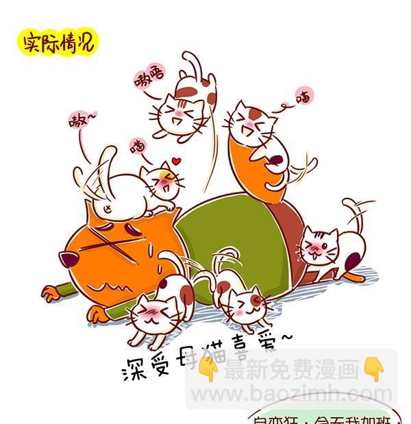 第20话 淘淘做饭记-第20话