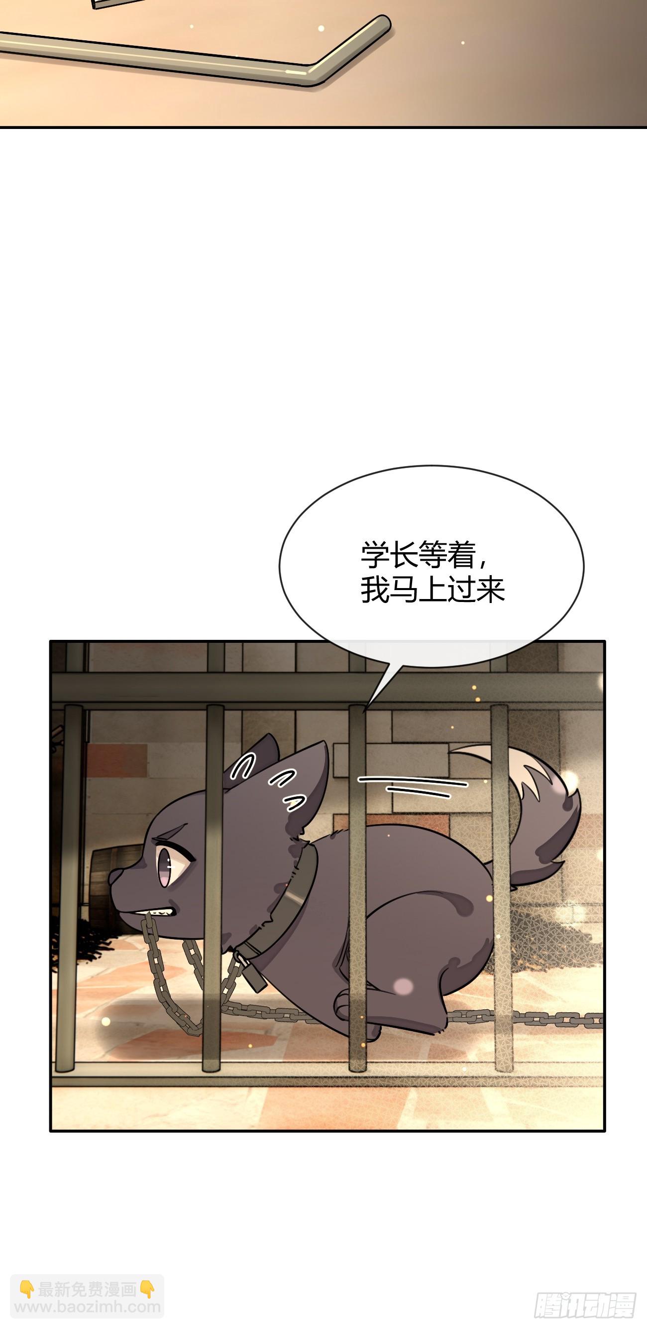 109.最考验意志力的一集(1/2)-第116话