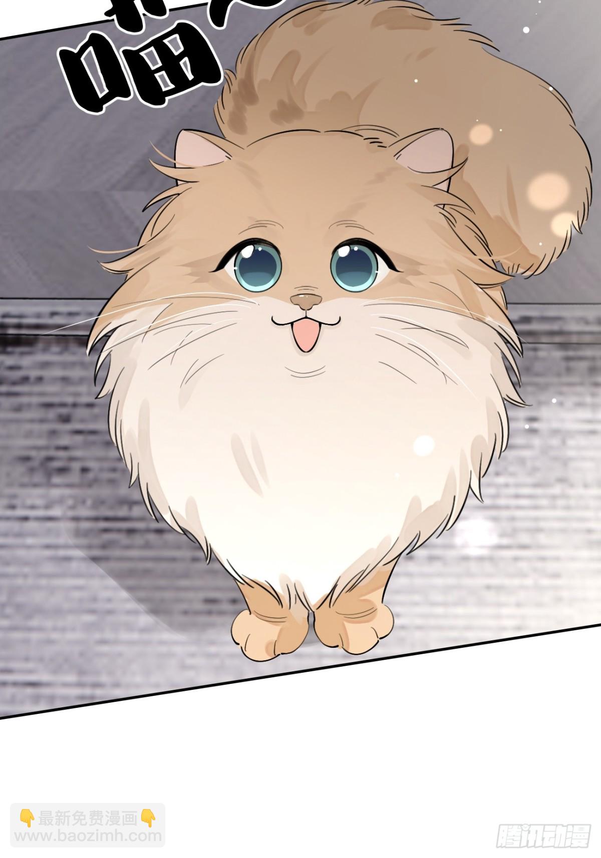 81.还没复合呢(1/2)-第88话