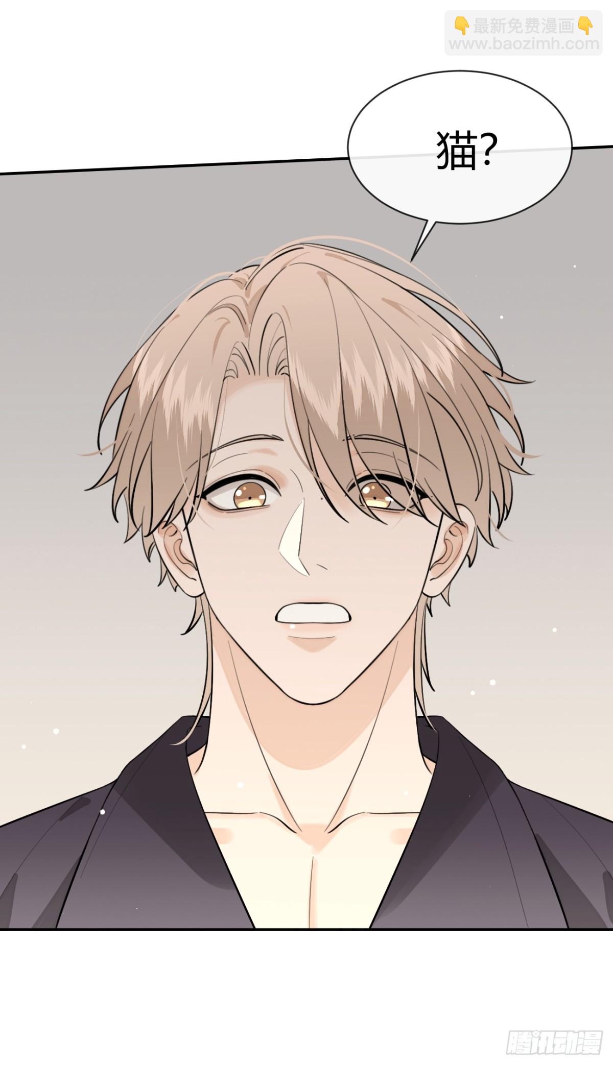 81.还没复合呢(1/2)-第88话