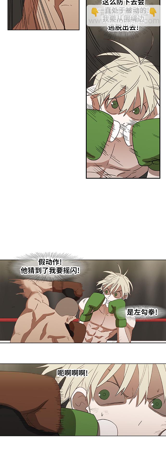 拳擊手 - 第36話 岩石攻略（3）(1/2) - 7