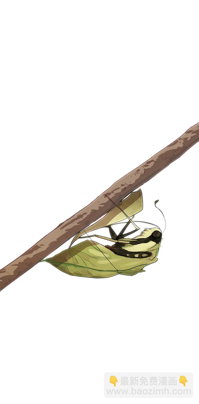 拳擊手 - 第46話 突破(2/2) - 5