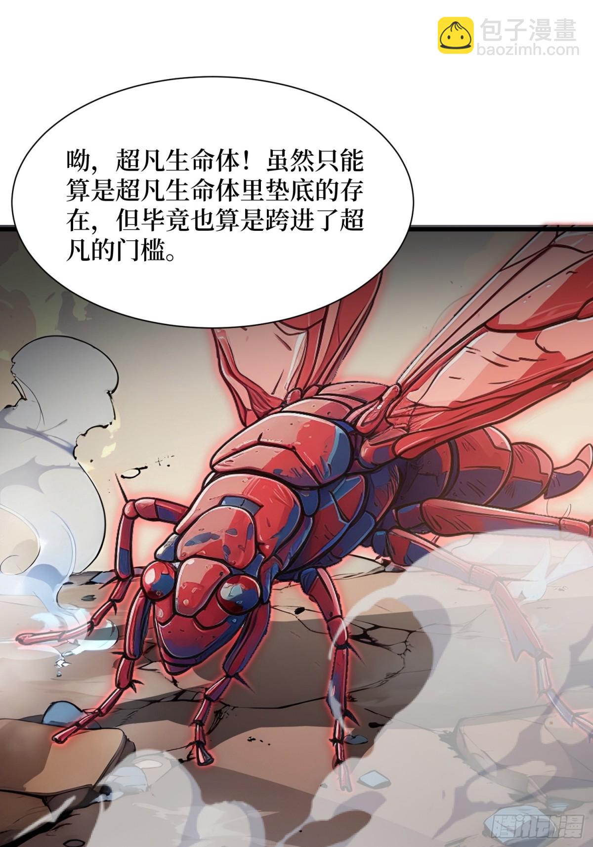 11 统考开始(1/2)-第12话