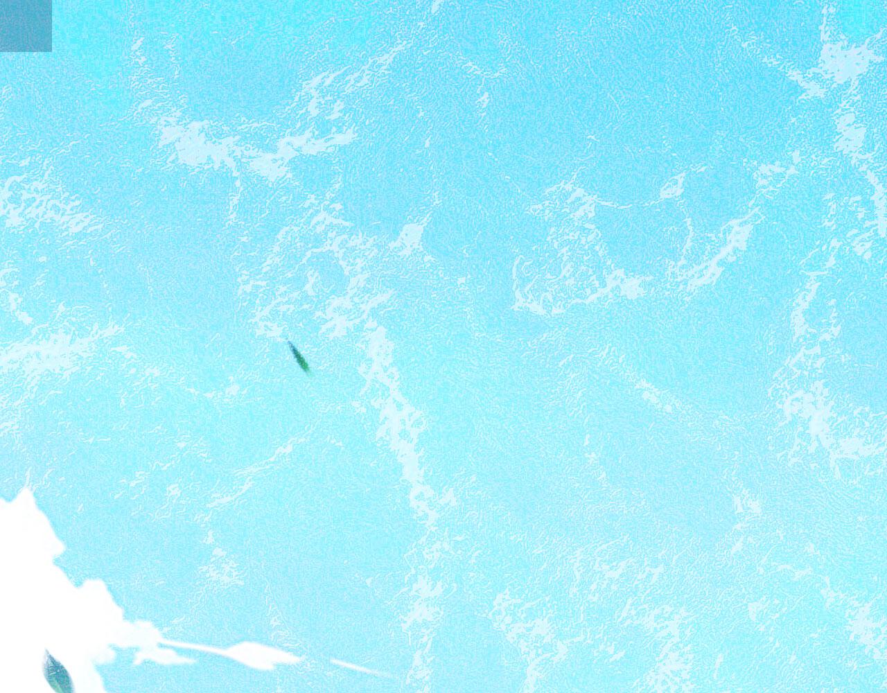 123 无尽猎杀(1/3)-第124话