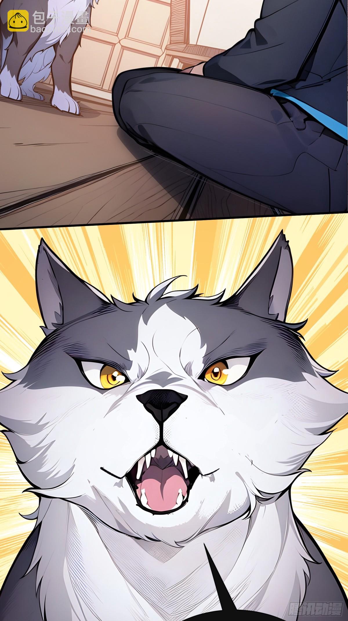 33 蝗虫人！(1/2)-第34话