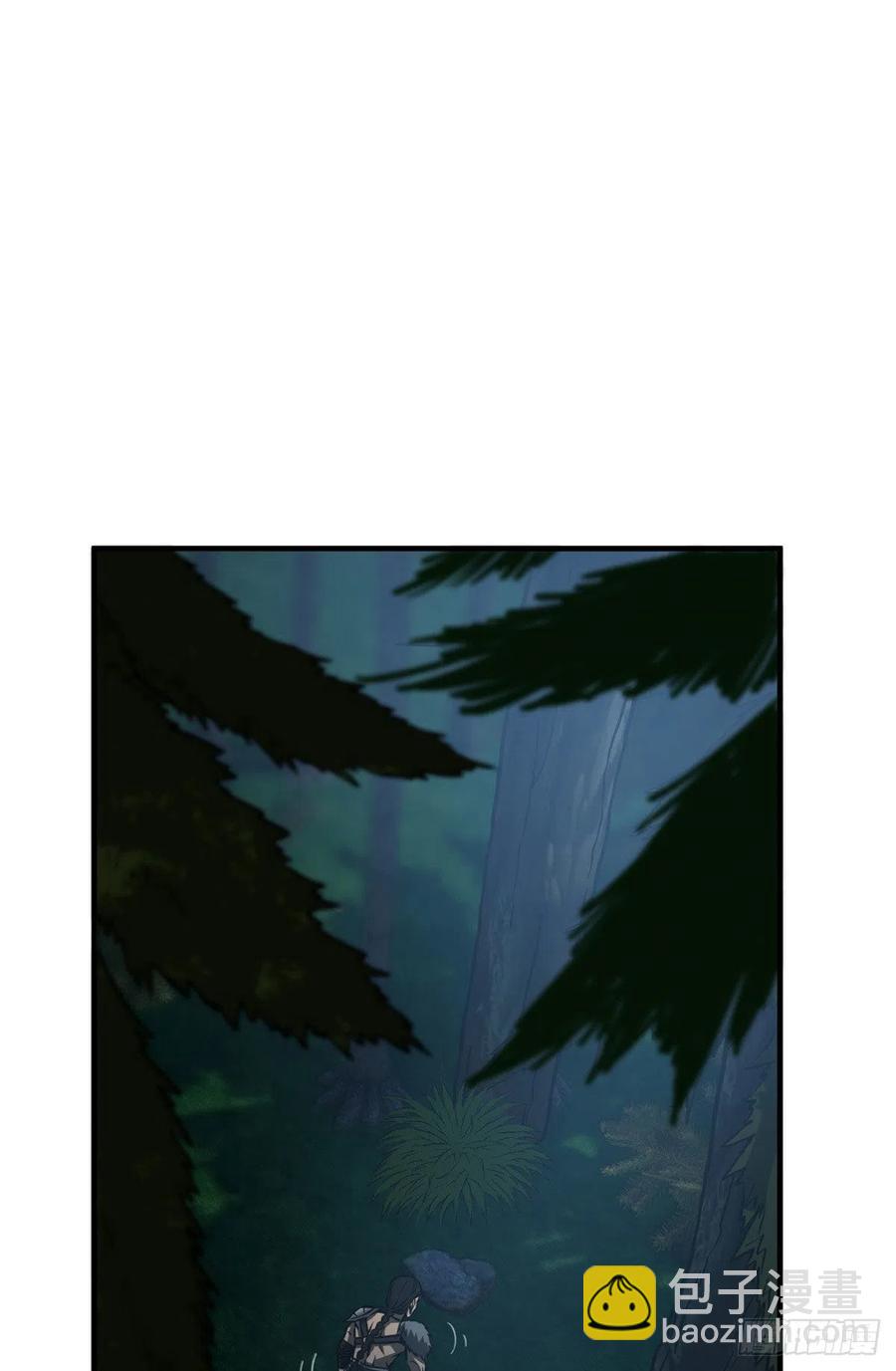 41.jpg
