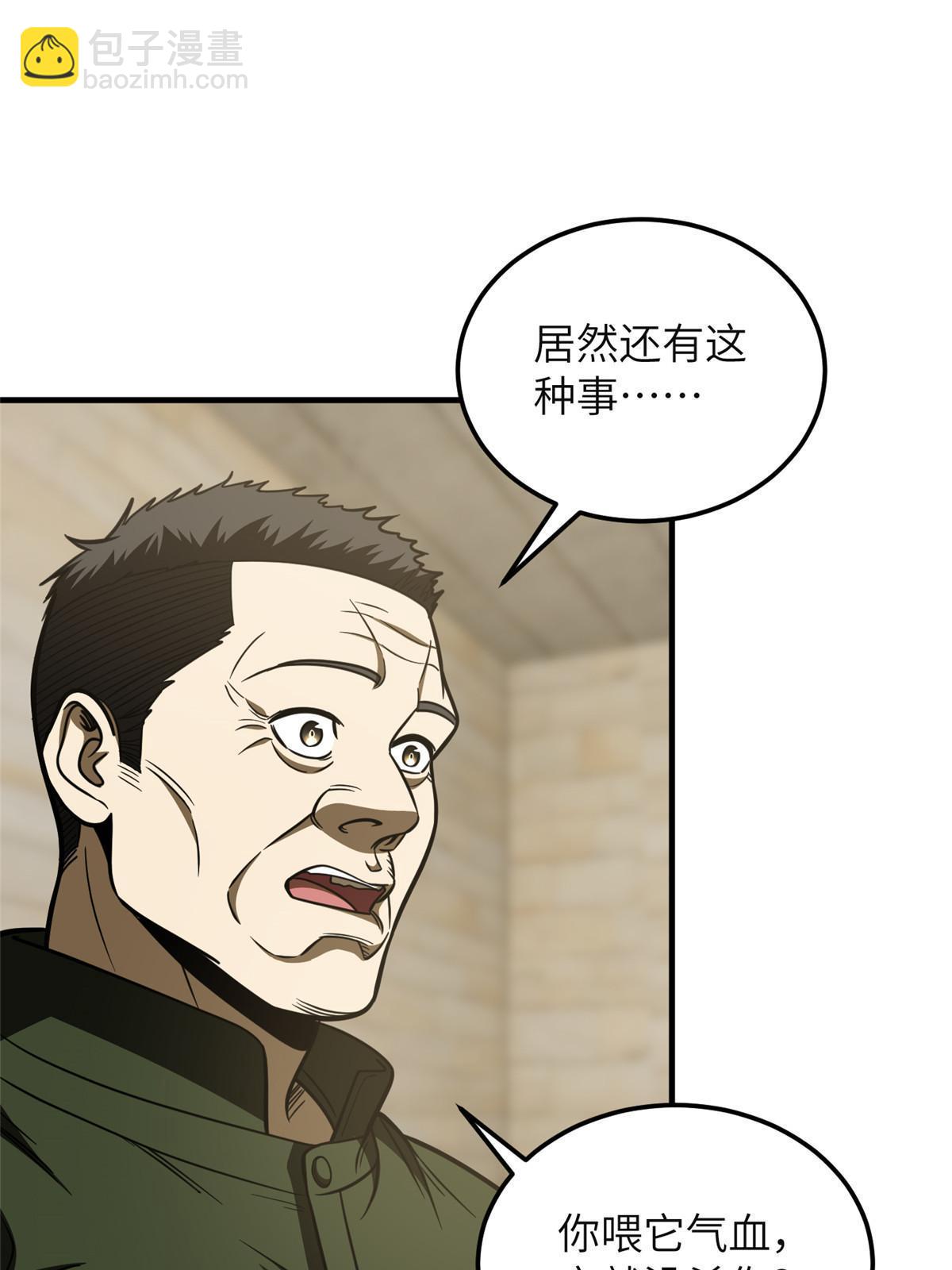 16.jpg