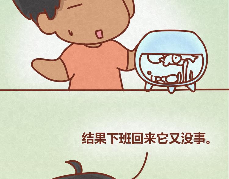 第25话 告白计划再次推迟-第24话