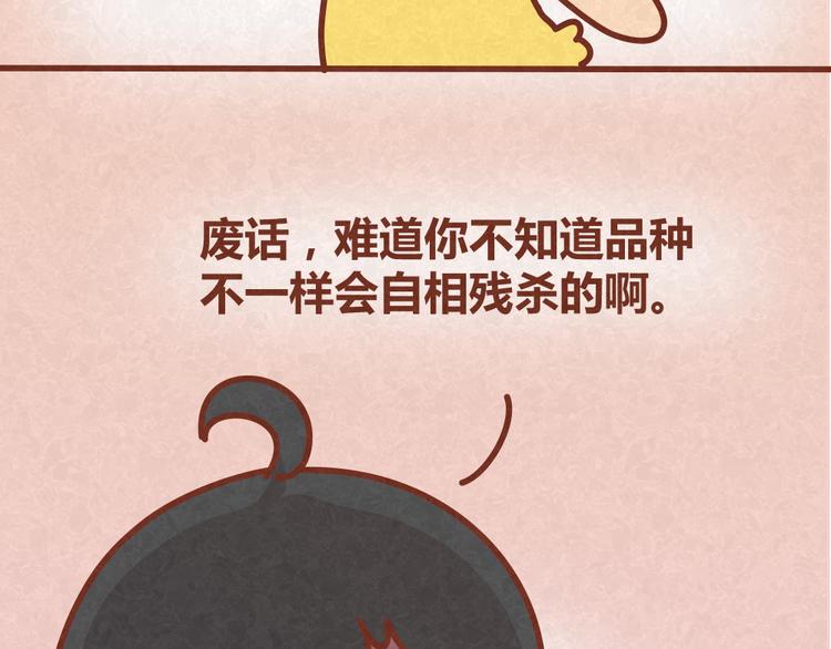 第25话 告白计划再次推迟-第24话