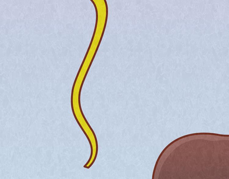 第39话 不被珍惜的礼物(1/2)-第38话