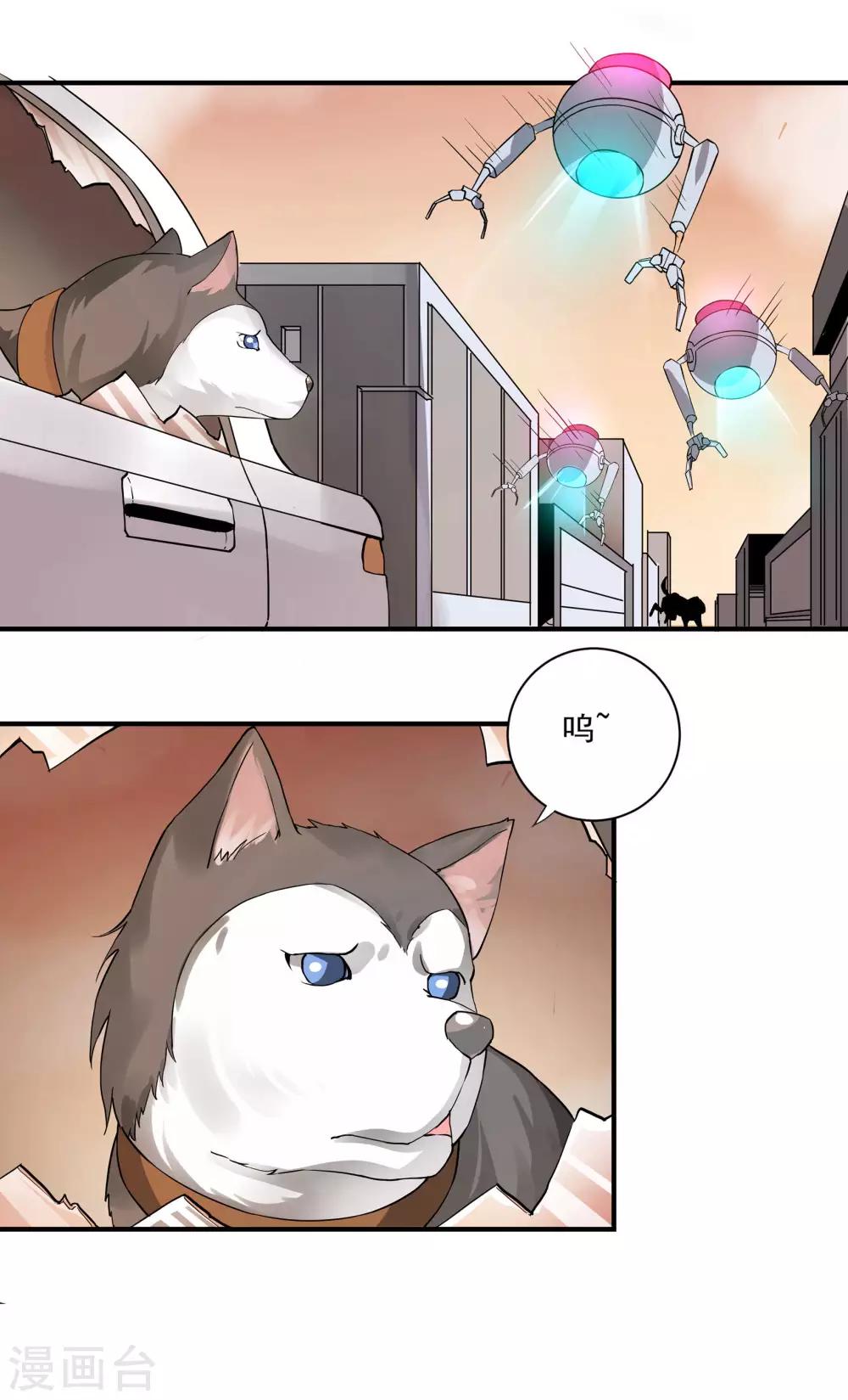 第62话 芯片与狗-第62话