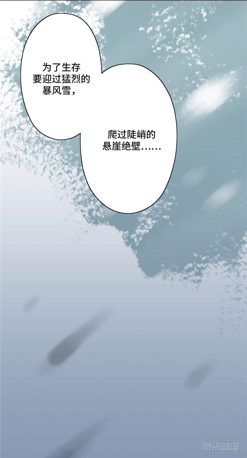 大师D 32-第108话