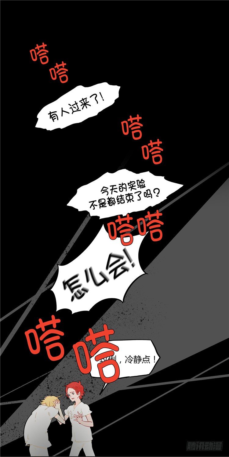大师阿拉米 20-第56话