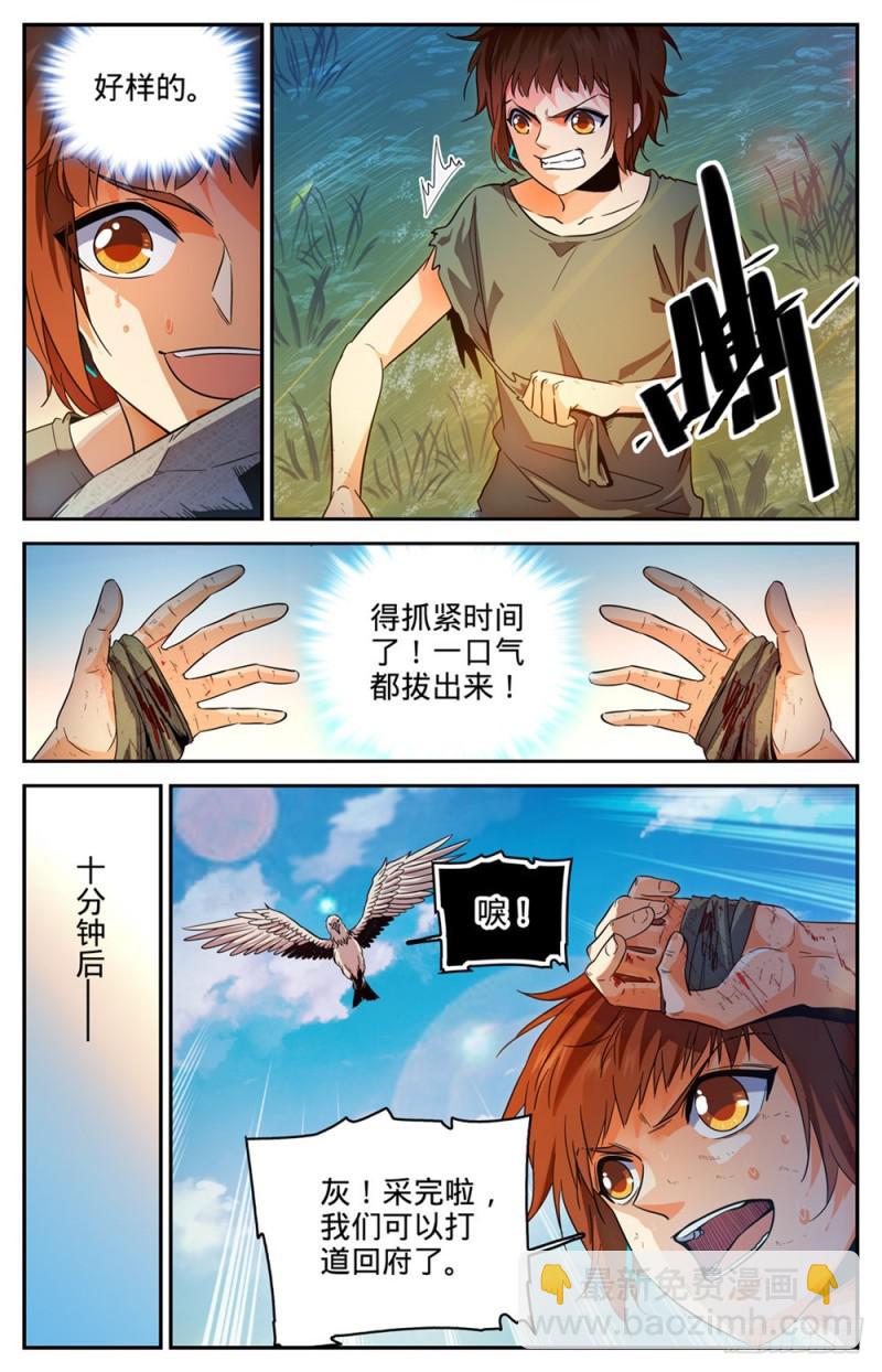 4.jpg