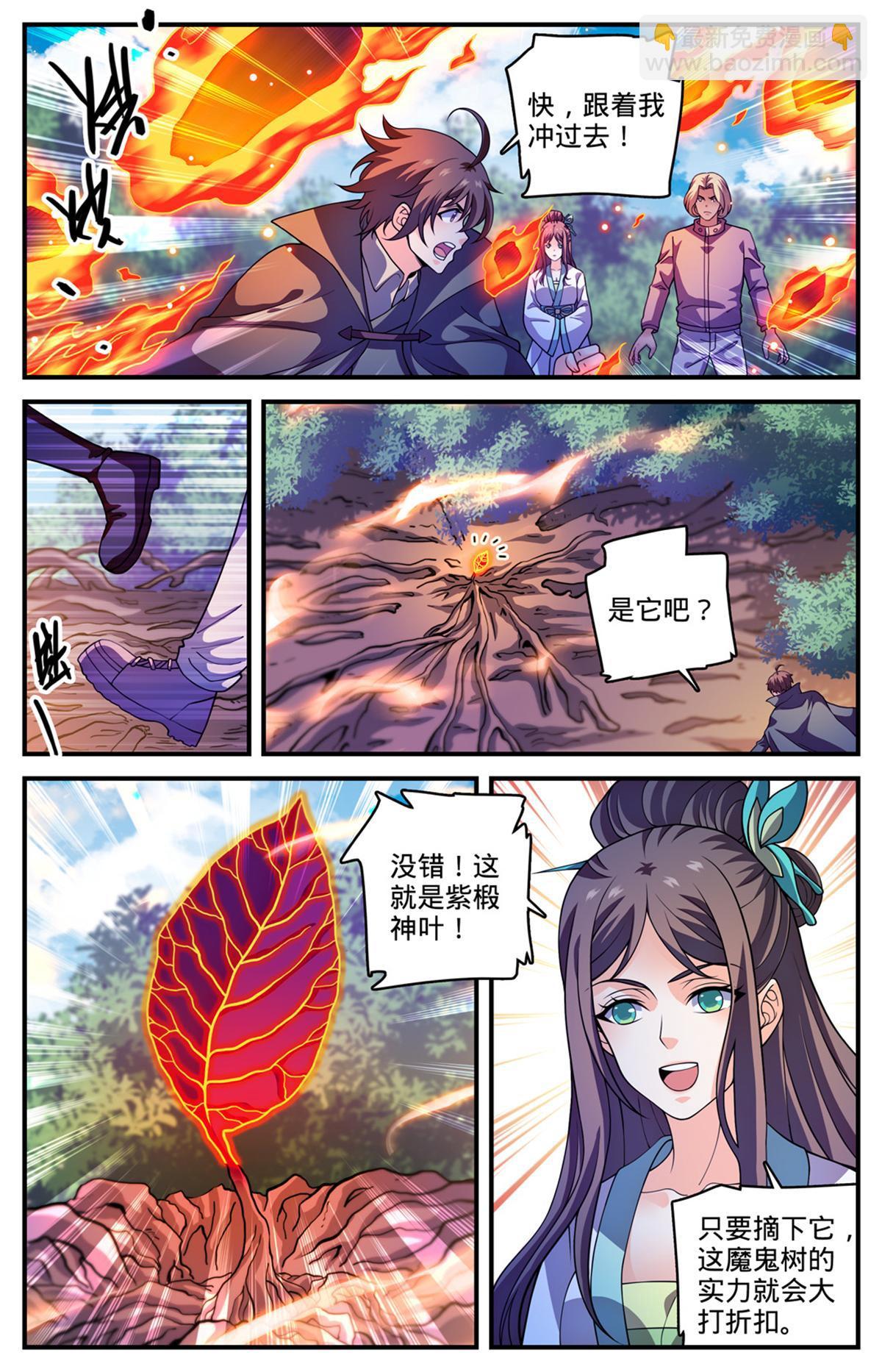 6.jpg