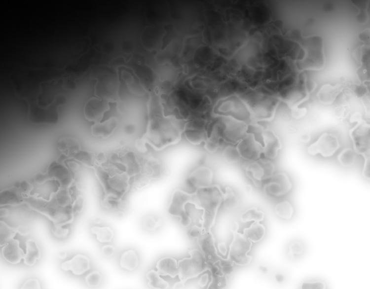 番外：猎物(1/2)-第12话