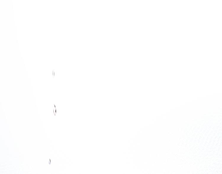 第16话：守护灵(1/2)-第22话