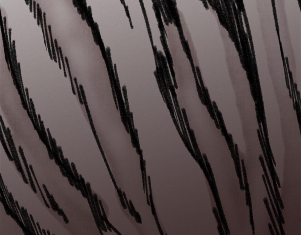 025 这比有挂！(1/3)-第28话