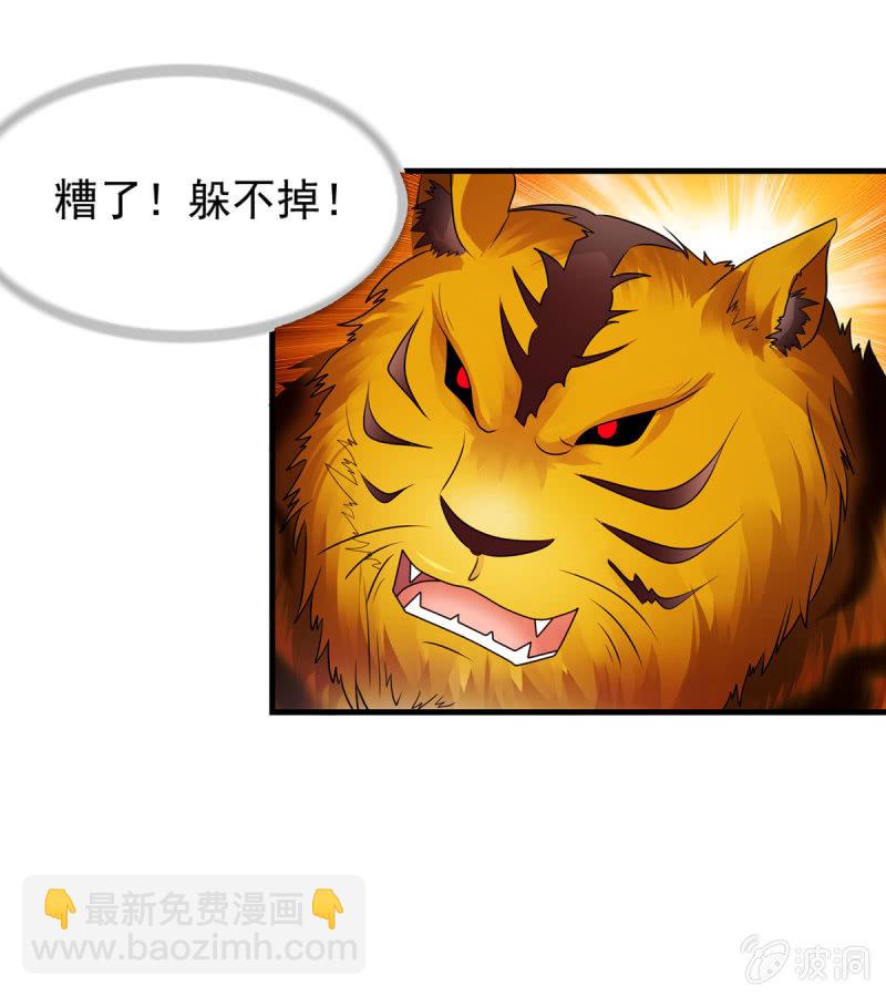 第22话 制服野兽之道-第22话