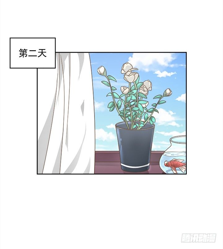 14话 外貌并不代表所有(1/2)-第14话