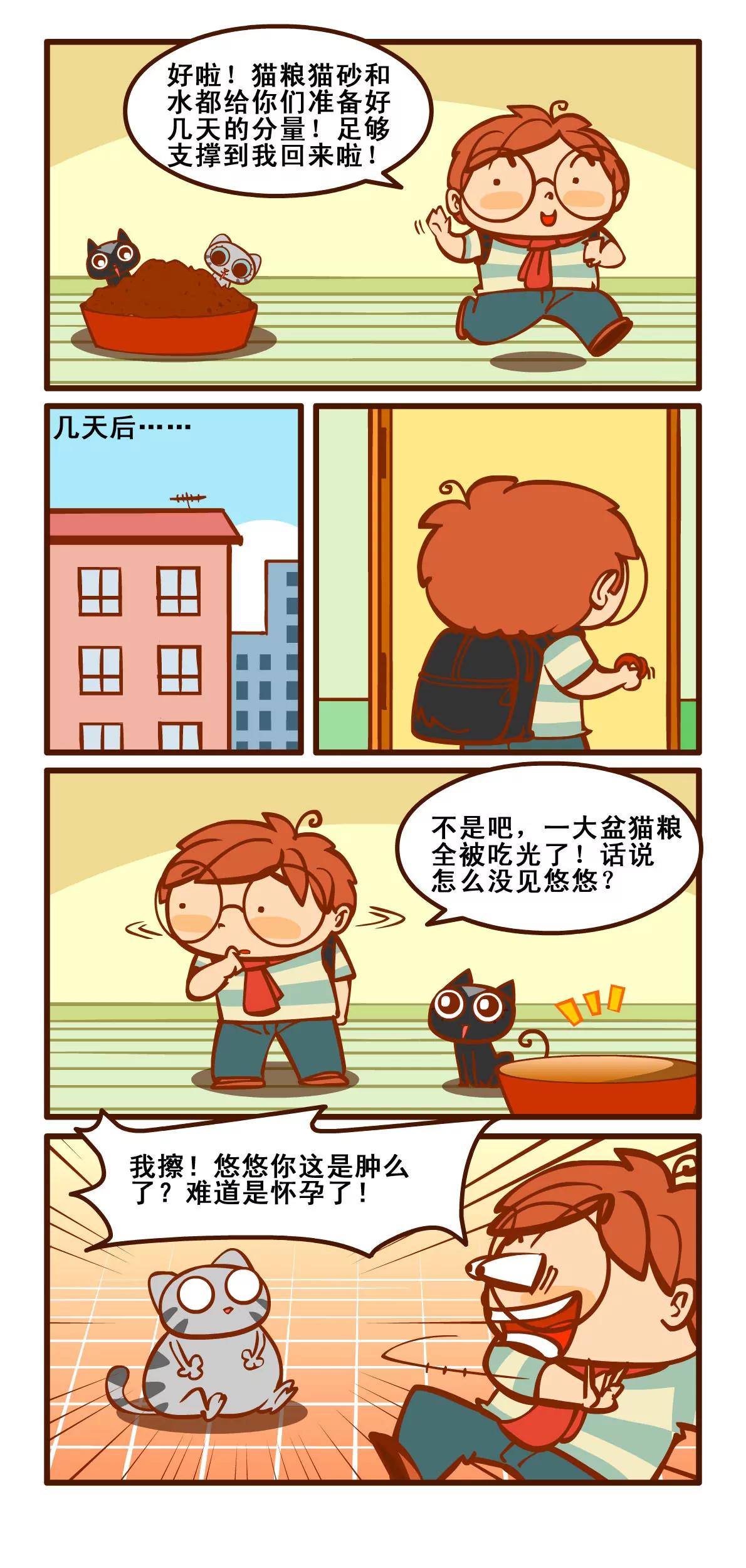 燃燒吧小羽宙 - 養貓記5 - 1