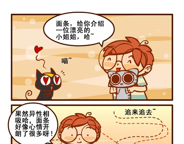 养猫记4-第36话
