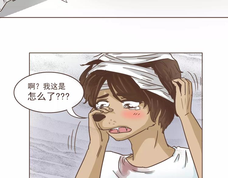 第12话 狗仔？！-第12话