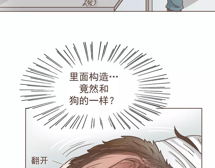 第12话 狗仔？！-第12话