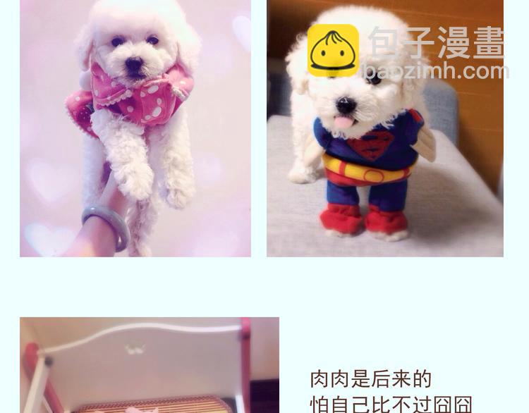 番外 萌萌三小只的日常-第16话