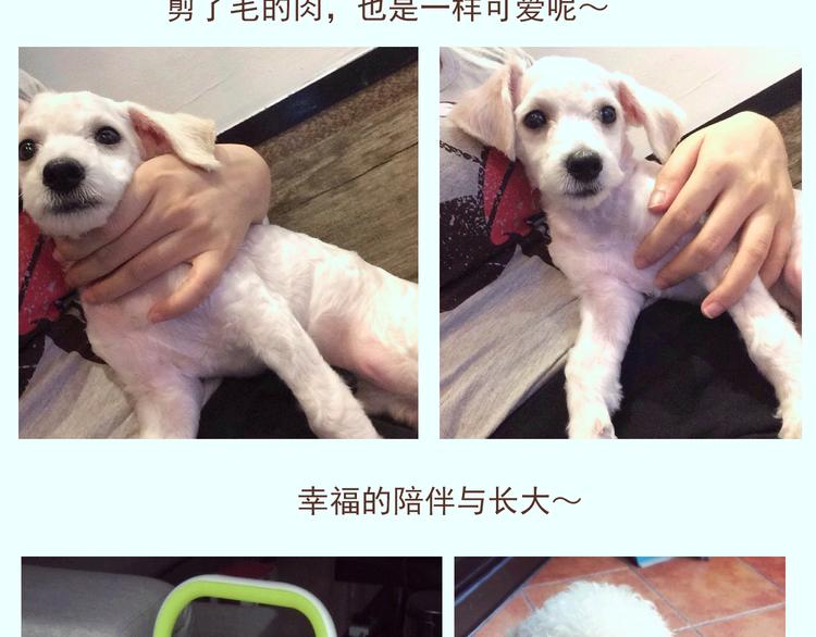 番外 萌萌三小只的日常-第16话