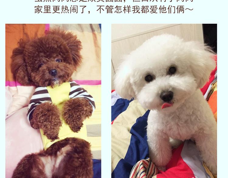 番外 萌萌三小只的日常-第16话