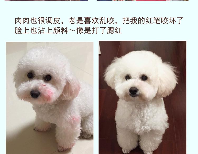 番外 萌萌三小只的日常-第16话