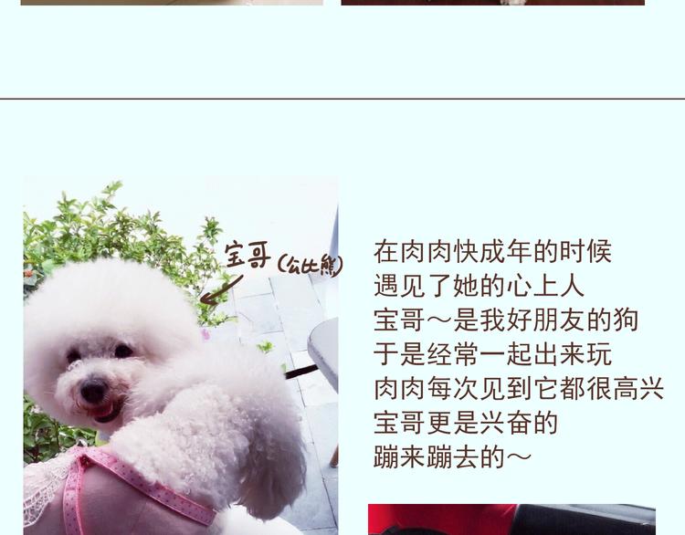 番外 萌萌三小只的日常-第16话