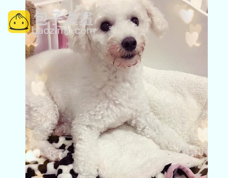 番外 萌萌三小只的日常-第16话