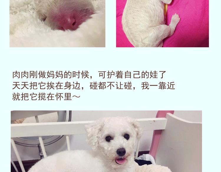 番外 萌萌三小只的日常-第16话