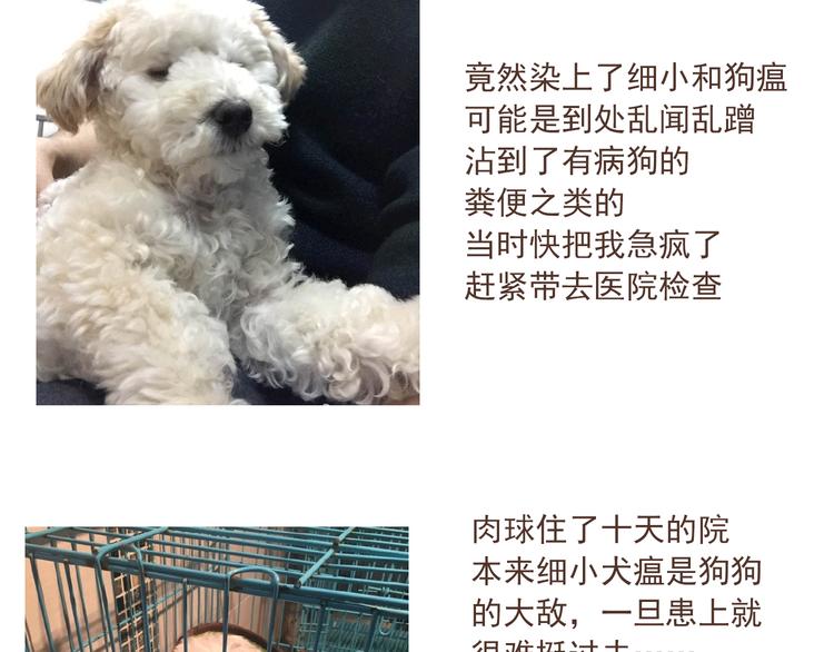 番外 萌萌三小只的日常-第16话