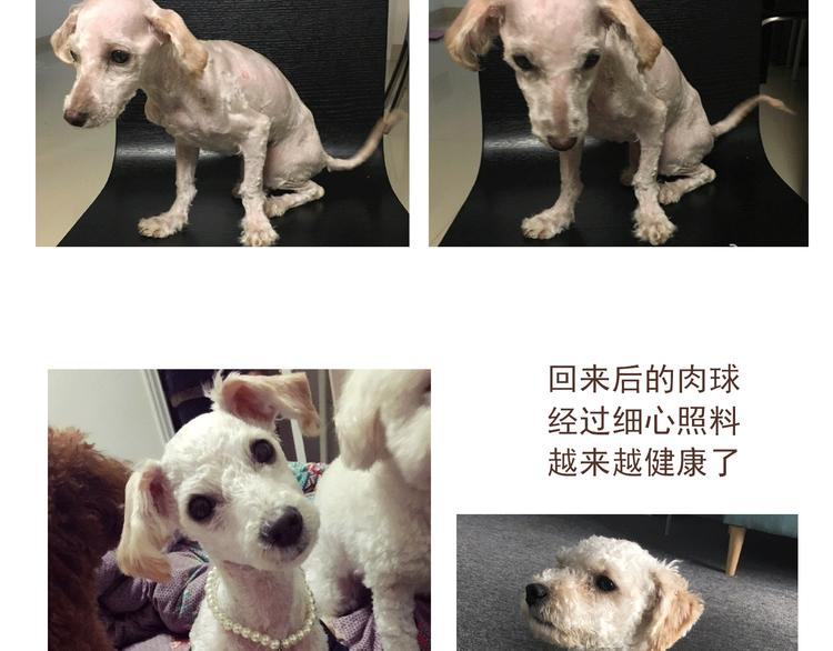 番外 萌萌三小只的日常-第16话