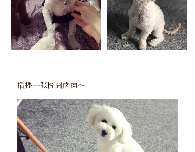 番外 萌萌三小只的日常-第16话