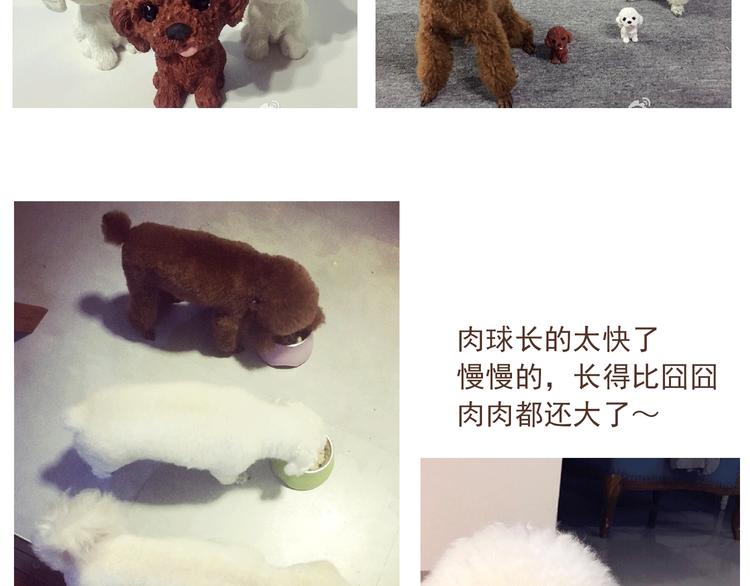 番外 萌萌三小只的日常-第16话