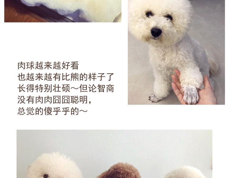 番外 萌萌三小只的日常-第16话