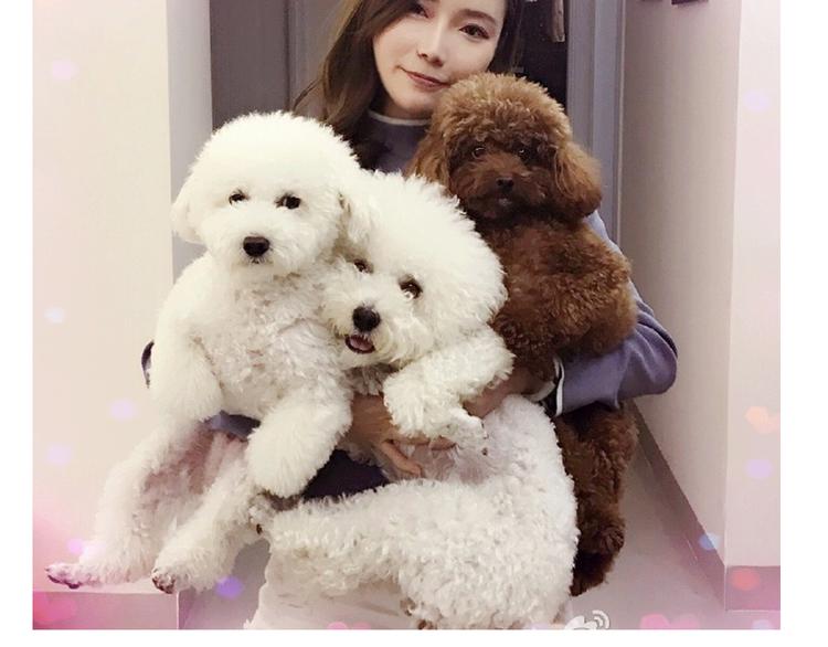 番外 萌萌三小只的日常-第16话