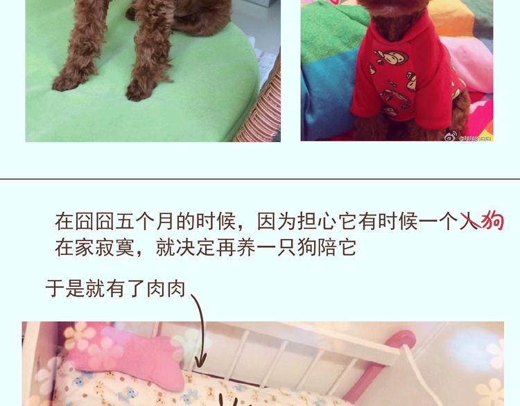 番外 萌萌三小只的日常-第16话