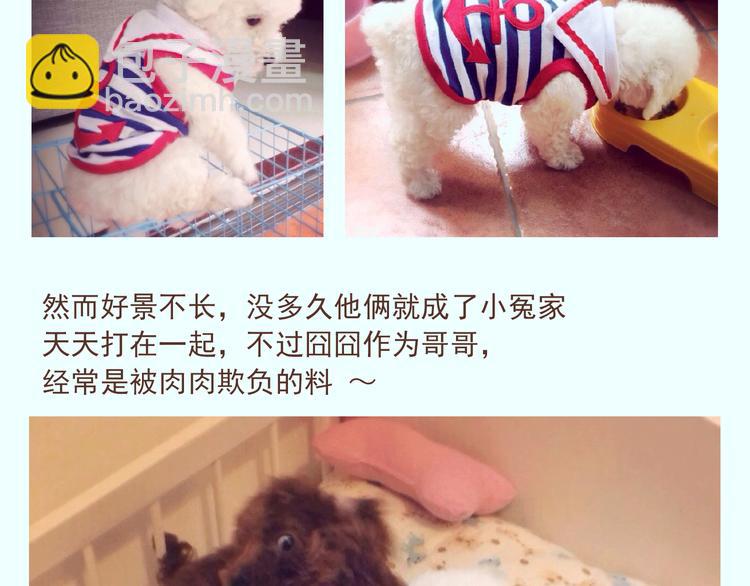 番外 萌萌三小只的日常-第16话