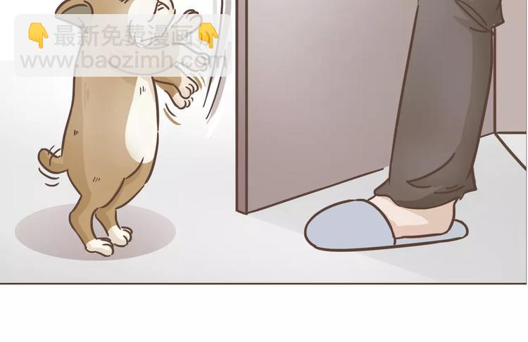 第19话 狗国王子现身(1/2)-第20话