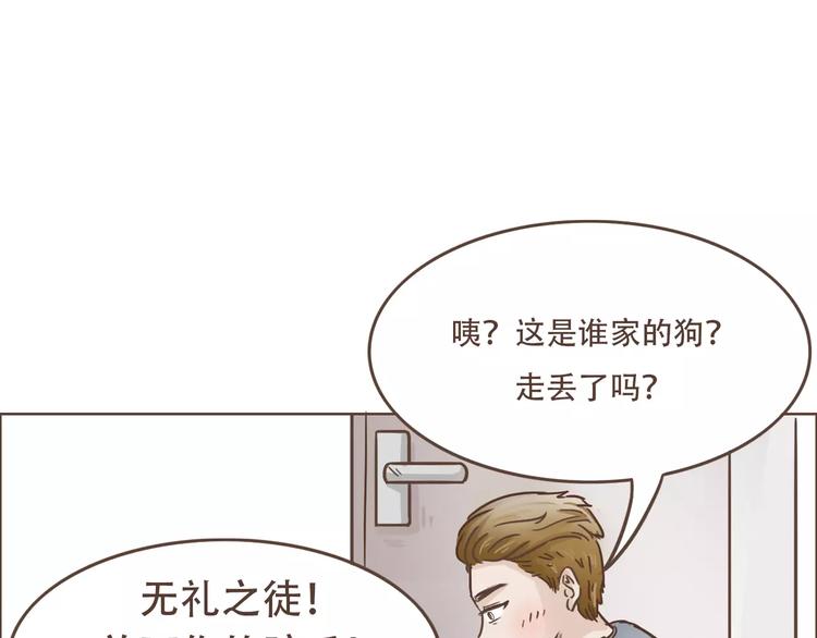 第19话 狗国王子现身(1/2)-第20话