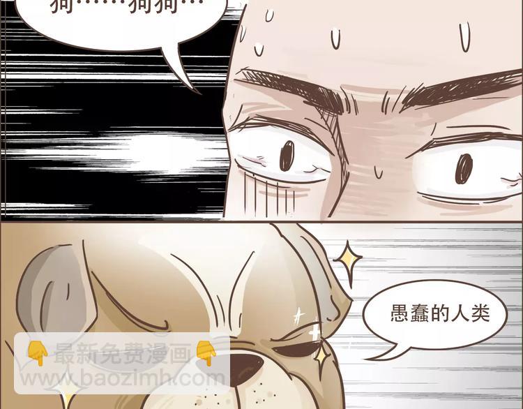 第19话 狗国王子现身(1/2)-第20话
