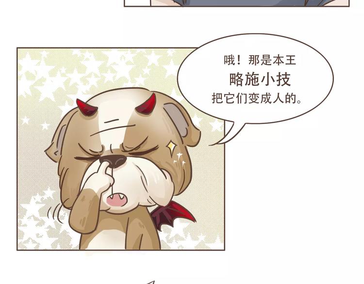 第19话 狗国王子现身(1/2)-第20话