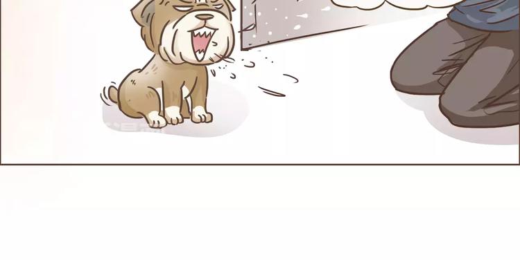 第19话 狗国王子现身(1/2)-第20话